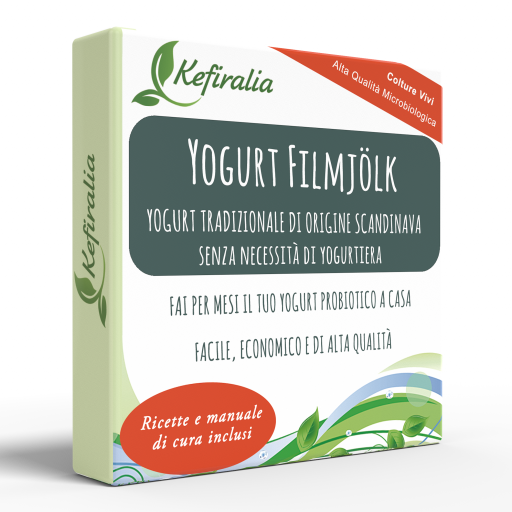 Yogurt Filmjolk, Fermento Tradizionale