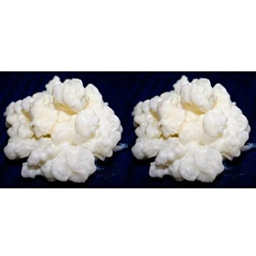 Pack 2x 40g di Granuli Di Kéfir Di Latte