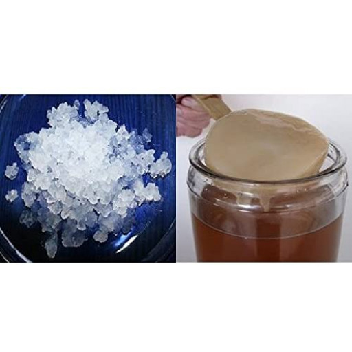 Pack 100g di Granuli Di Kéfir Di Acqua + Disco SCOBY Kombucha