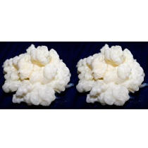 Pack 2x 40g di Granuli Di Kéfir Di Latte