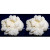 Pack 2x 40g di Granuli Di Kéfir Di Latte