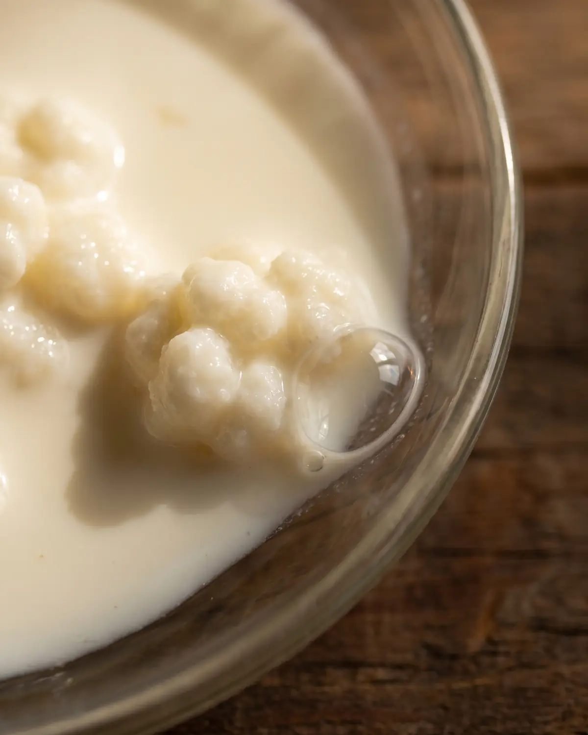 Dettaglio ravvicinato di kefir di latte cremoso con una bolla accanto a un grano vicino al bordo del vetro.