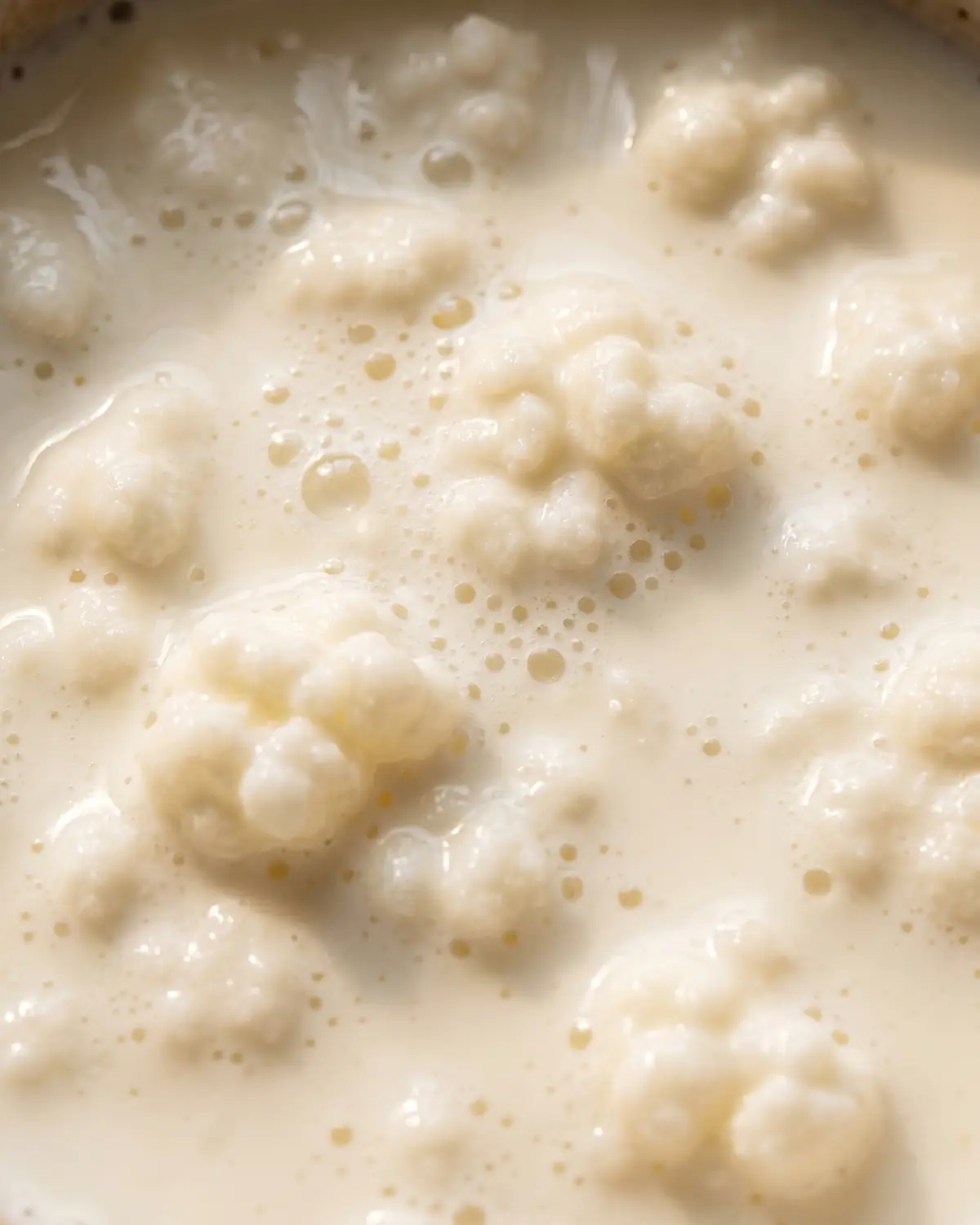 kefir migliore da comprare Dettaglio ravvicinato della superficie cremosa del kefir di latte con piccole bolle illuminate dall’alto