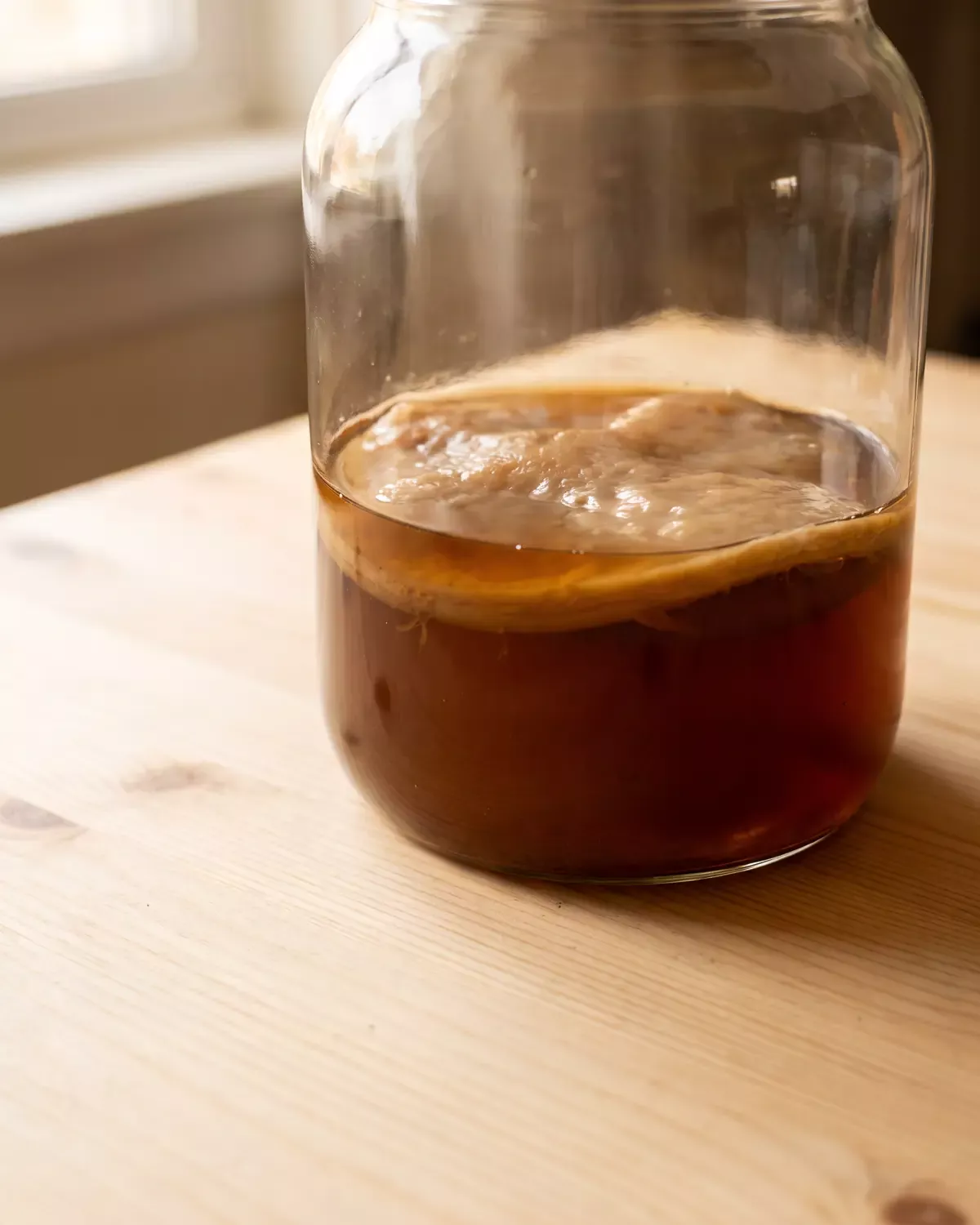 kombucha muffa Vista dal basso di un barattolo su pino chiaro, con lo SCOBY ambrato ingrandito dalla base